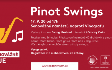 Pinot Swings 2020